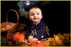 lien vers galerie thème